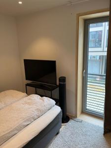 Urban resident by the ferry