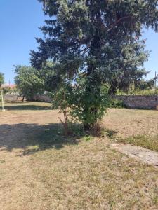 Appartements appart studio-F1 Montpellier de Medillan -Royan 38 euros la nuit : photos des chambres