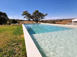 Monte Baldio da Caldeira - T6 - 阿兰德鲁阿尔