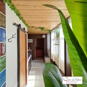 Maisons de vacances Les Maisons et le Spa de a 2 pas des vignes a Chateauneuf du Pape : photos des chambres
