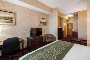 King Room - Non-Smoking room in Comfort Inn & Suites Walla Walla