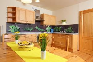 Two-Bedroom Apartment room in Apartments Budinek