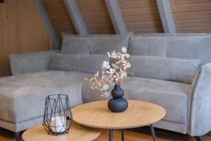 Ferienwohnpark Immenstaad am Bodensee Nurdachhaus Typ 7 ND 56