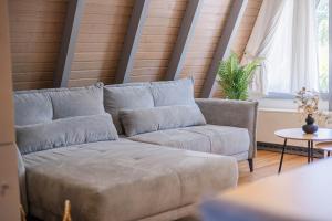 Ferienwohnpark Immenstaad am Bodensee Nurdachhaus Typ 7 ND 56