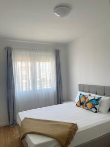 Montenegro Suite Rental