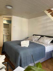 Central Downtown Apartments