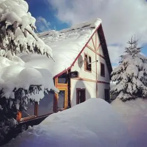 Vila Artemis - Rausor