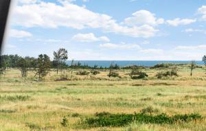 Beautiful Home In Skagen With Wifi