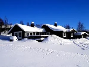 Cozy, well-equipped and family-friendly cabin in Geilo - Myro