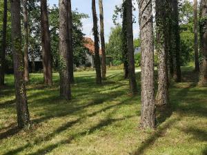 Maisons de vacances Gite des Pins-Chambord-Beauval : photos des chambres