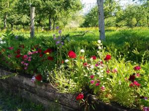Maisons de vacances Superb barn conversion in the golden triangle Pont l-Eveque-Honfleur-Deauville : photos des chambres