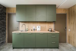 Zaliakalnio Terasos apartamentai 2