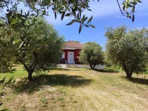 Zante Green View - Ambelókipoi