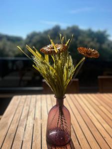 Penthouse HEDONIST with hidromassage bath