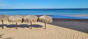 CLAUDIA I Arenales Del Sol