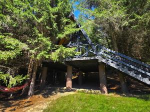 A frame Cuib de Vultur