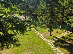 A frame Cuib de Vultur