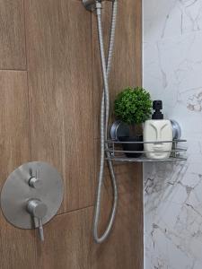 Studio Apartment City Dream