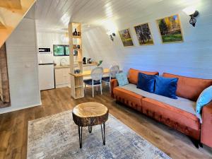 A frame Cuib de Vultur