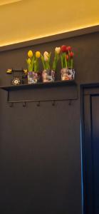 Casa Viva la Vida - Luxe vakantiewoning in het hart van de Bollenstreek en dichtbij Strand, Meer, Duinen en Keukenhof