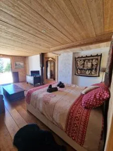 Appartement Atypique Saxel - Burdignin