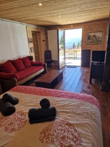 Appartement Atypique Saxel