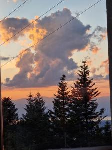 Appartement Atypique Saxel