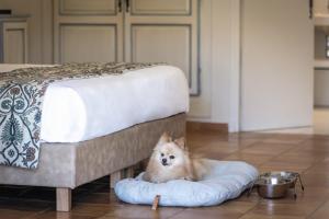 Hotels Mas de l'Oulivie : photos des chambres