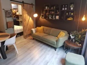 Appartement De Oliekan Medium - 莱米尔