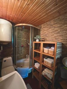 Cozy cabin house in Viitna