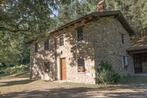 Abissinia, Gioiello nel Bosco