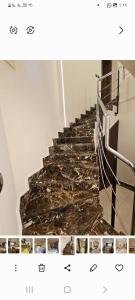 نيوم كايرو التجمع الخامس