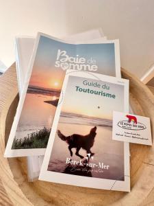 Appartements Confort et Nature a Berck-Plage - detente ou travail - wifi : photos des chambres