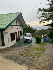 Green House 1