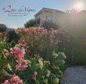 Maisons de vacances Les Maisons et le Spa de a 2 pas des vignes a Chateauneuf du Pape : photos des chambres