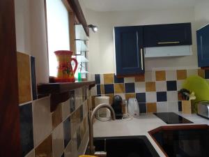 F1 Massif du Canigou