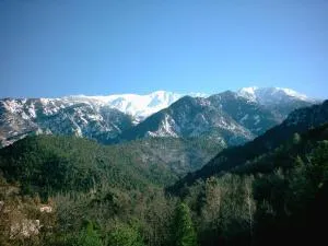 F1 Massif du Canigou - Casteil