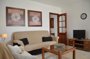 APCOSTAS - Torre del Mar Playa - MALAGA