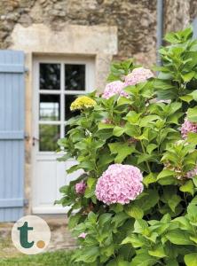 Maisons de vacances Tranquiloue - Maison de charme a la campagne - PuyduFou : photos des chambres