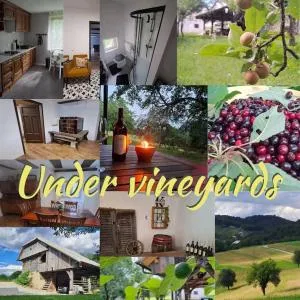 Pod vinogradi - Mirna