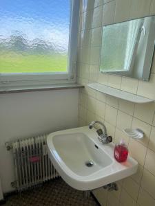 Apartment Bodensee 7, free Parking, free Internet, 24 h Checkin