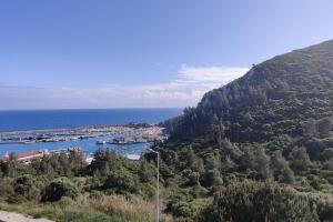 Moonlight Seaside Escape