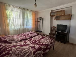 Zindisi Forest Haven Retreat in Surami