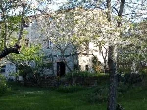 La Fonte b&b - Pietralunga