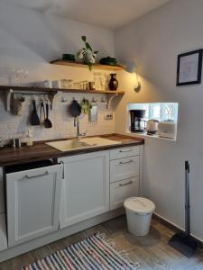 Apartment Vesna with terrace