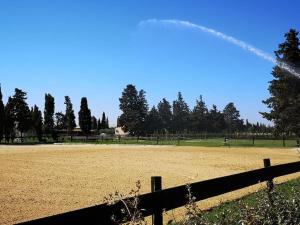 Gîte équestre en Provence aux pieds des Alpilles