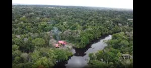 Jairo Amazon Tours - Nauta