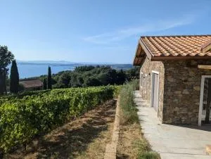 NEW! Apartment immersed in a vineyard - Latera