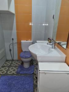 Appartement Invasion