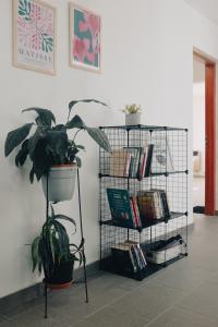 Jazmines Departamentos